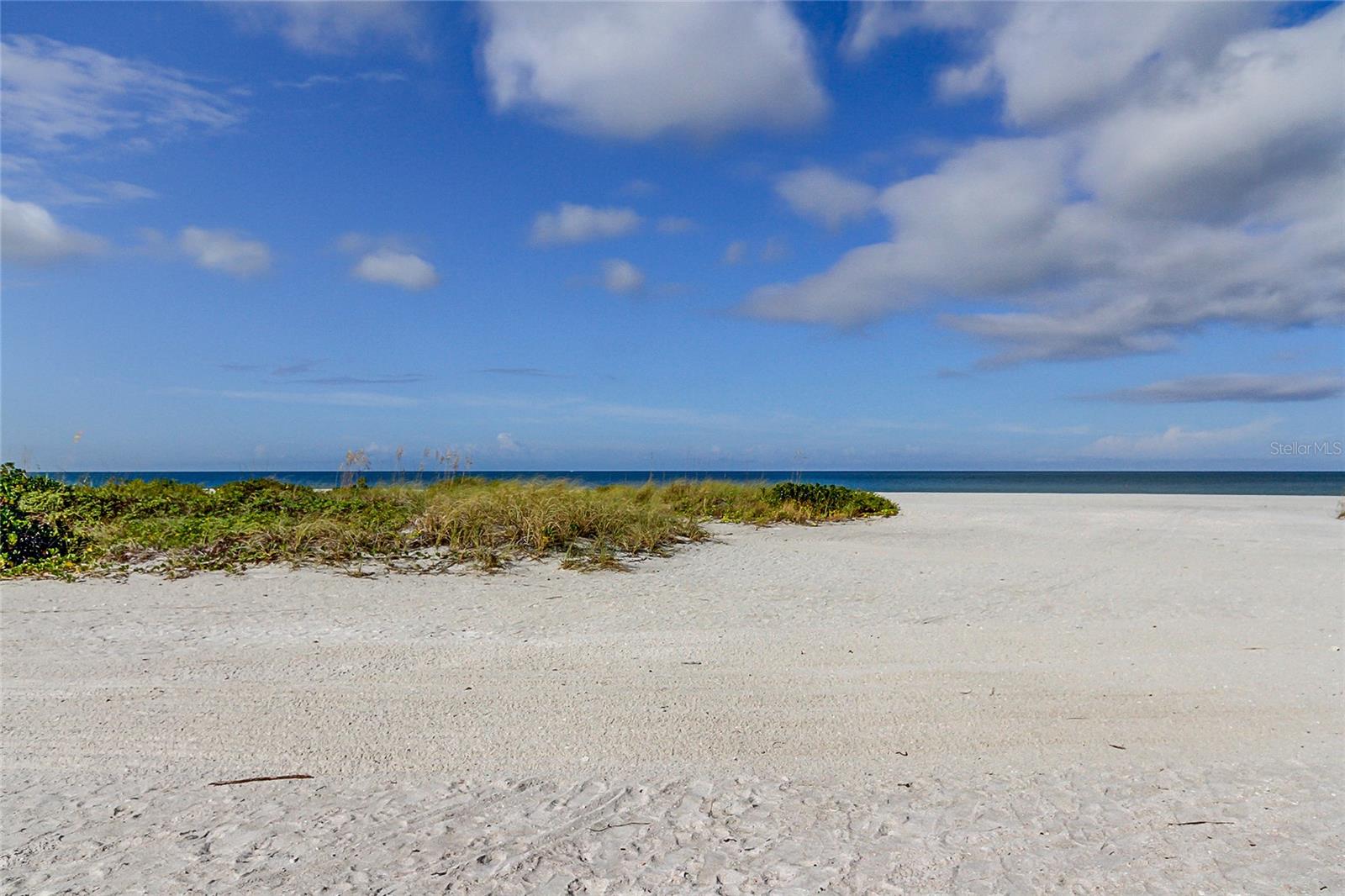 1270 GULF BLVD #304, CLEARWATER, FL, 33767