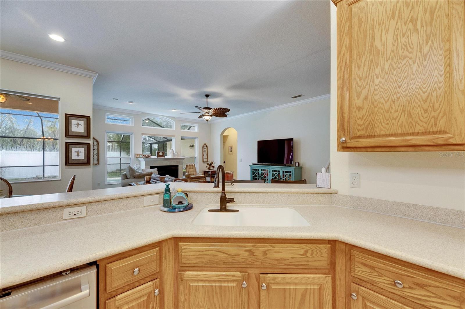 2512 CENTENNIAL FALCON DR, VALRICO, FL, 33596