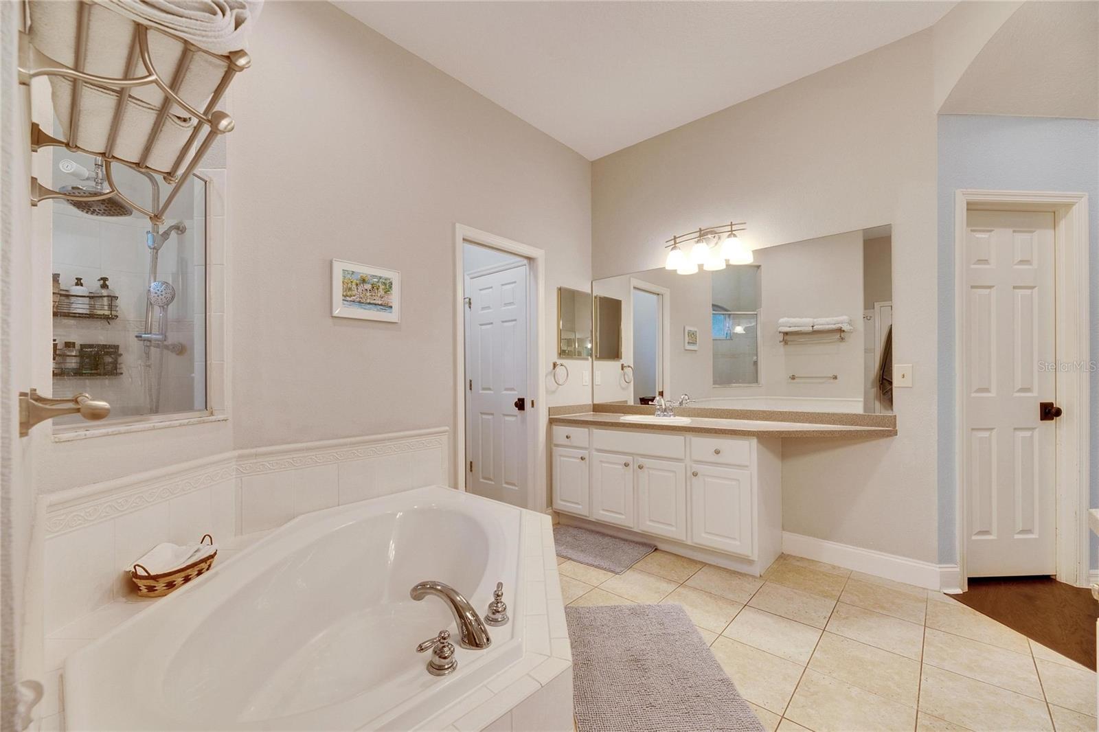 2512 CENTENNIAL FALCON DR, VALRICO, FL, 33596