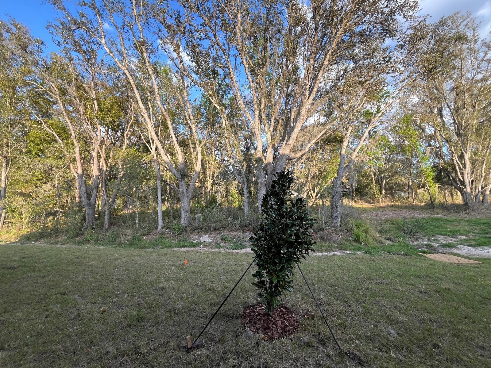 10042 TRUMPET HONEYSUCKLE WAY, SAN ANTONIO, FL, 33576