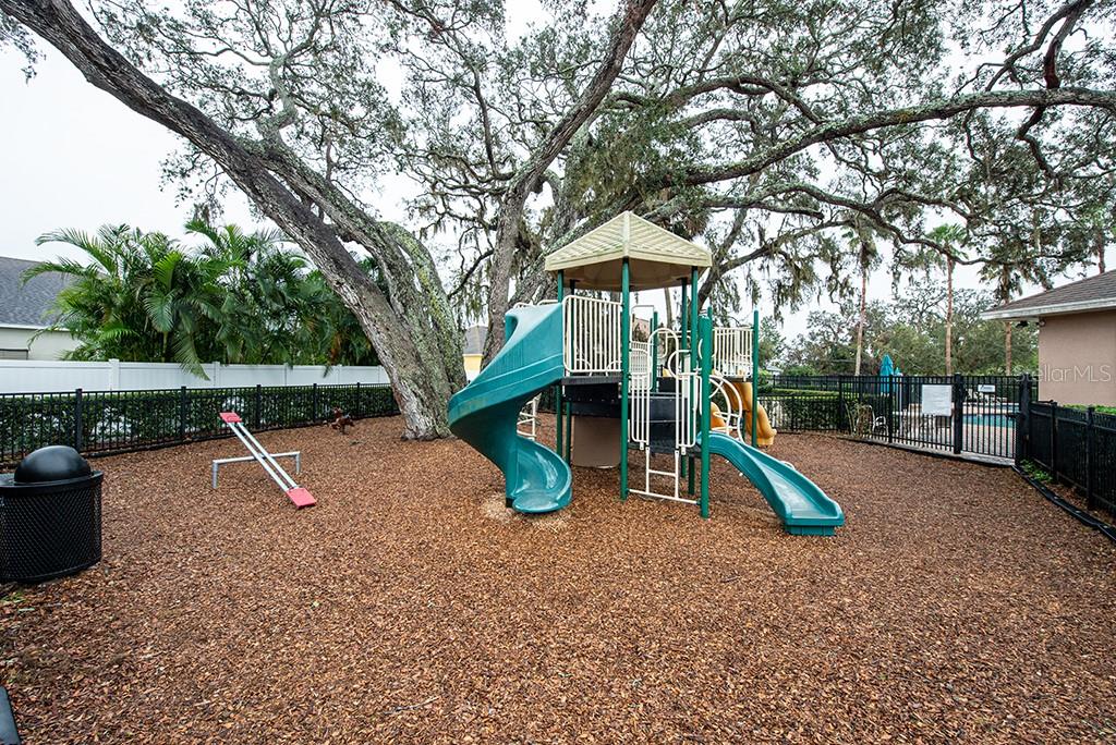 10415 BUTTERFLY WING CT, RIVERVIEW, FL, 33578