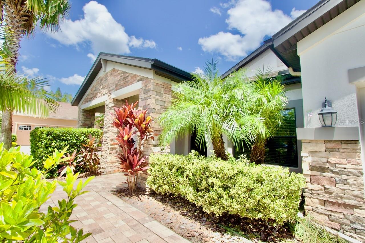 8424 BLUEVINE SKY DR, LAND O LAKES, FL, 34637