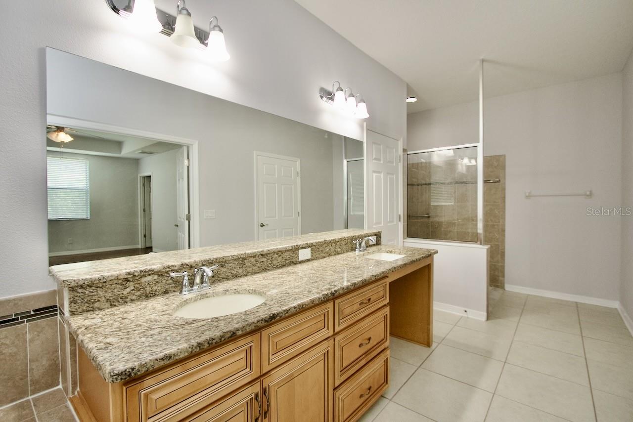 8424 BLUEVINE SKY DR, LAND O LAKES, FL, 34637