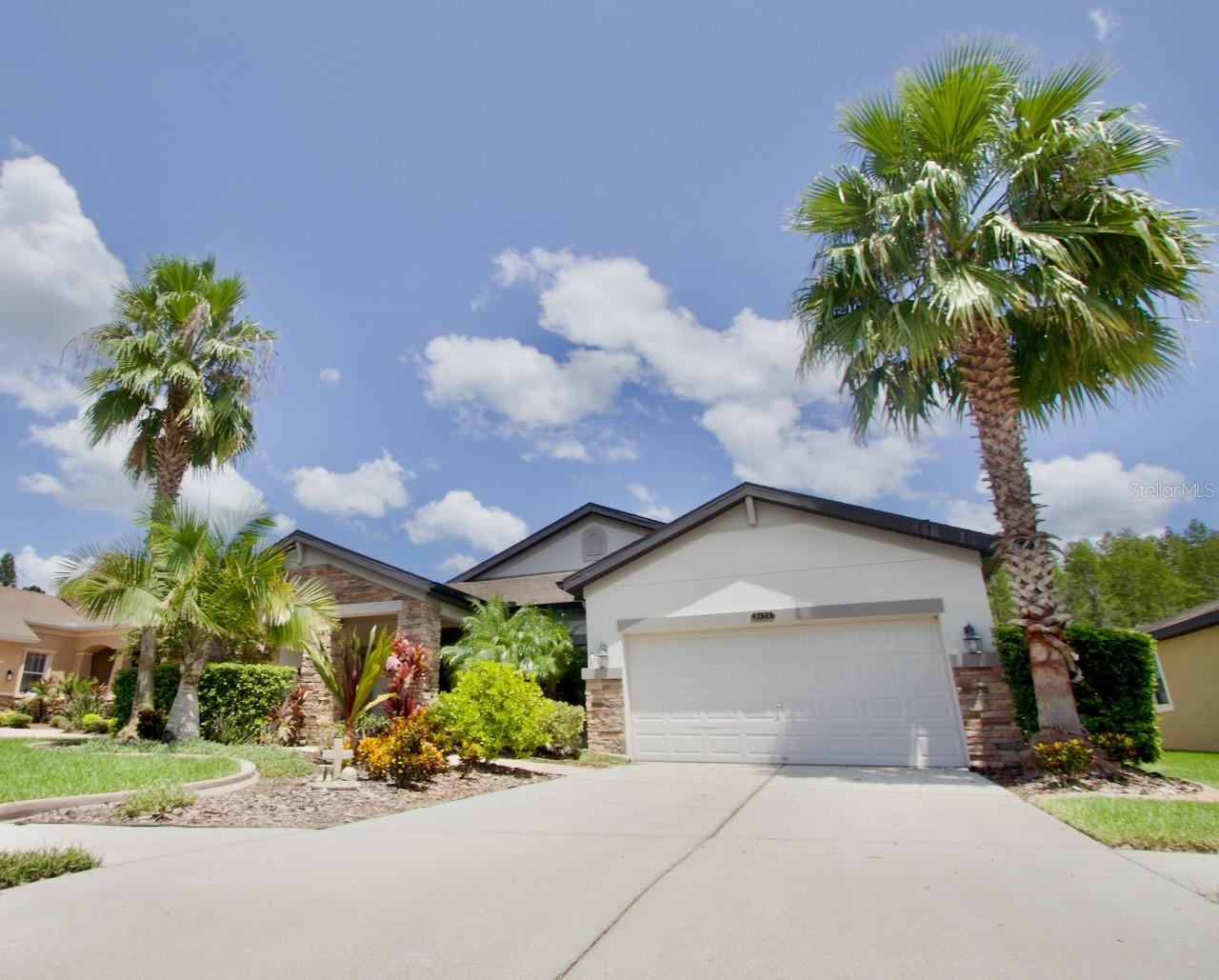 8424 BLUEVINE SKY DR, LAND O LAKES, FL, 34637