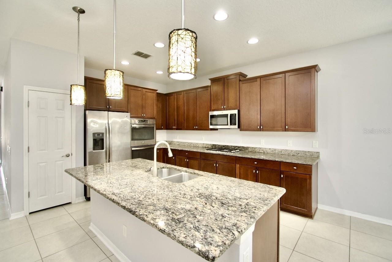 8424 BLUEVINE SKY DR, LAND O LAKES, FL, 34637