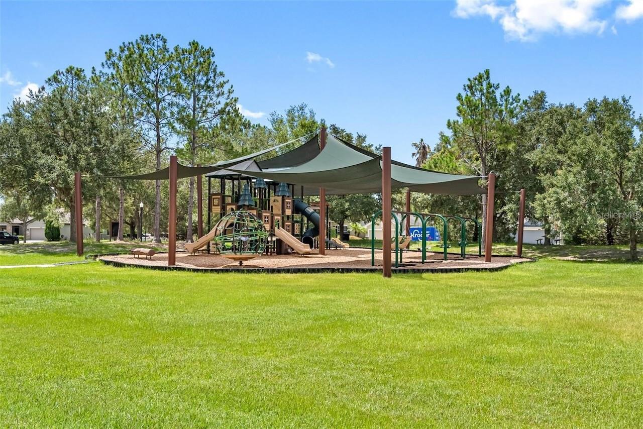 8424 BLUEVINE SKY DR, LAND O LAKES, FL, 34637