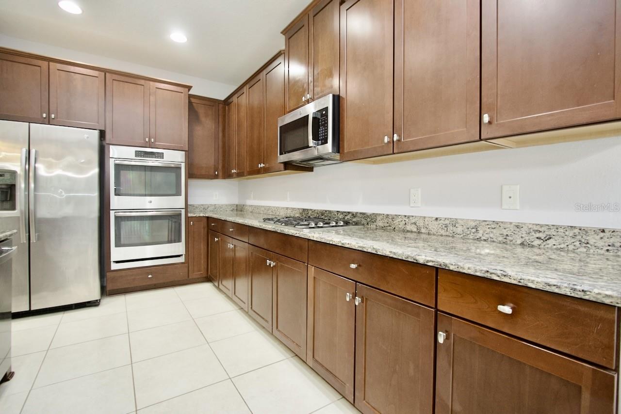 8424 BLUEVINE SKY DR, LAND O LAKES, FL, 34637