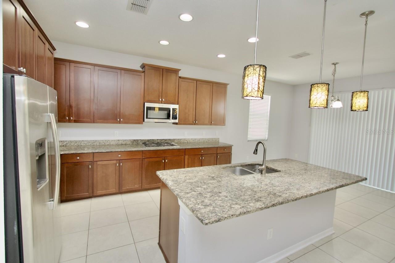 8424 BLUEVINE SKY DR, LAND O LAKES, FL, 34637
