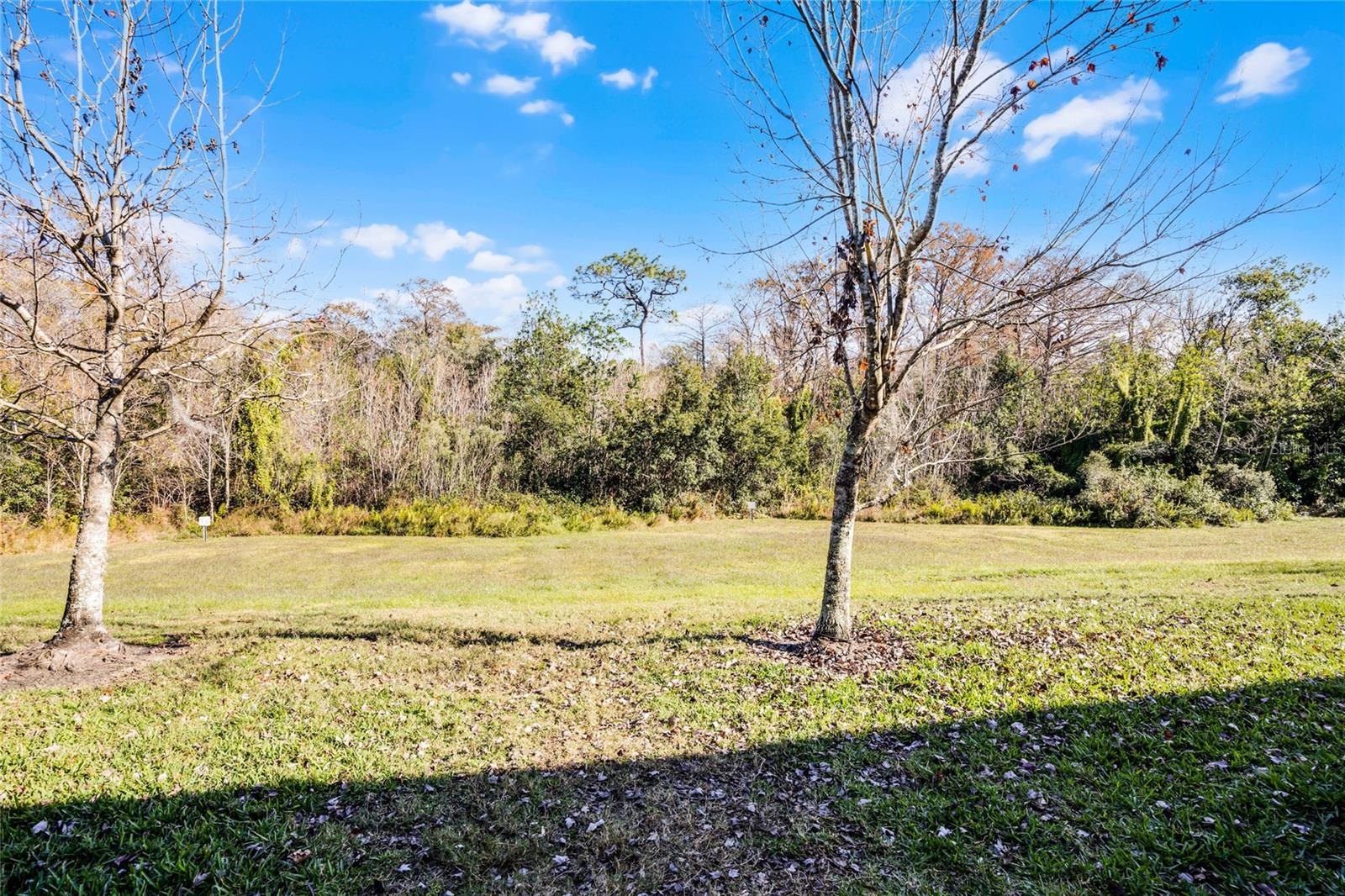 2909 ECON LANDING BLVD, ORLANDO, FL, 32825
