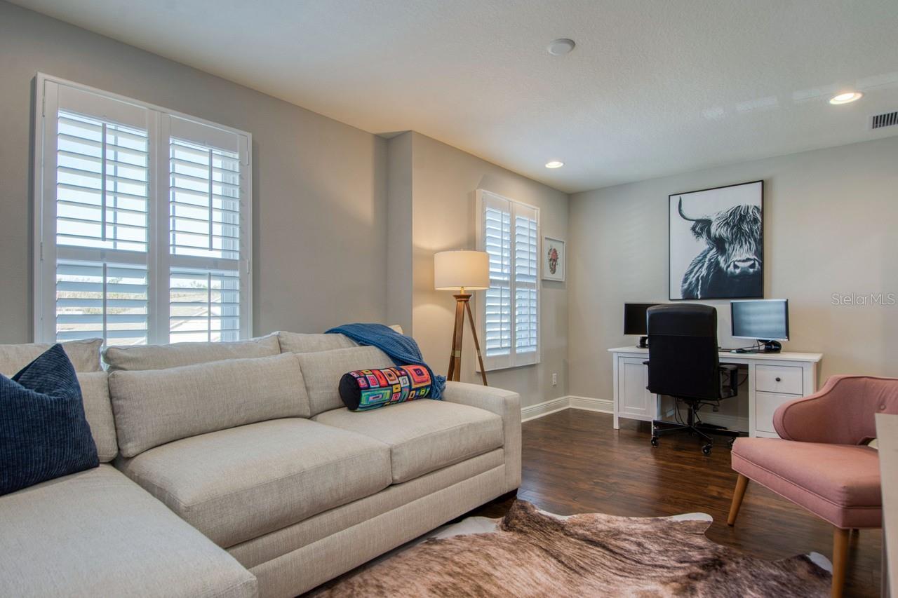 4456 TUBULAR RUN, LAND O LAKES, FL, 34638