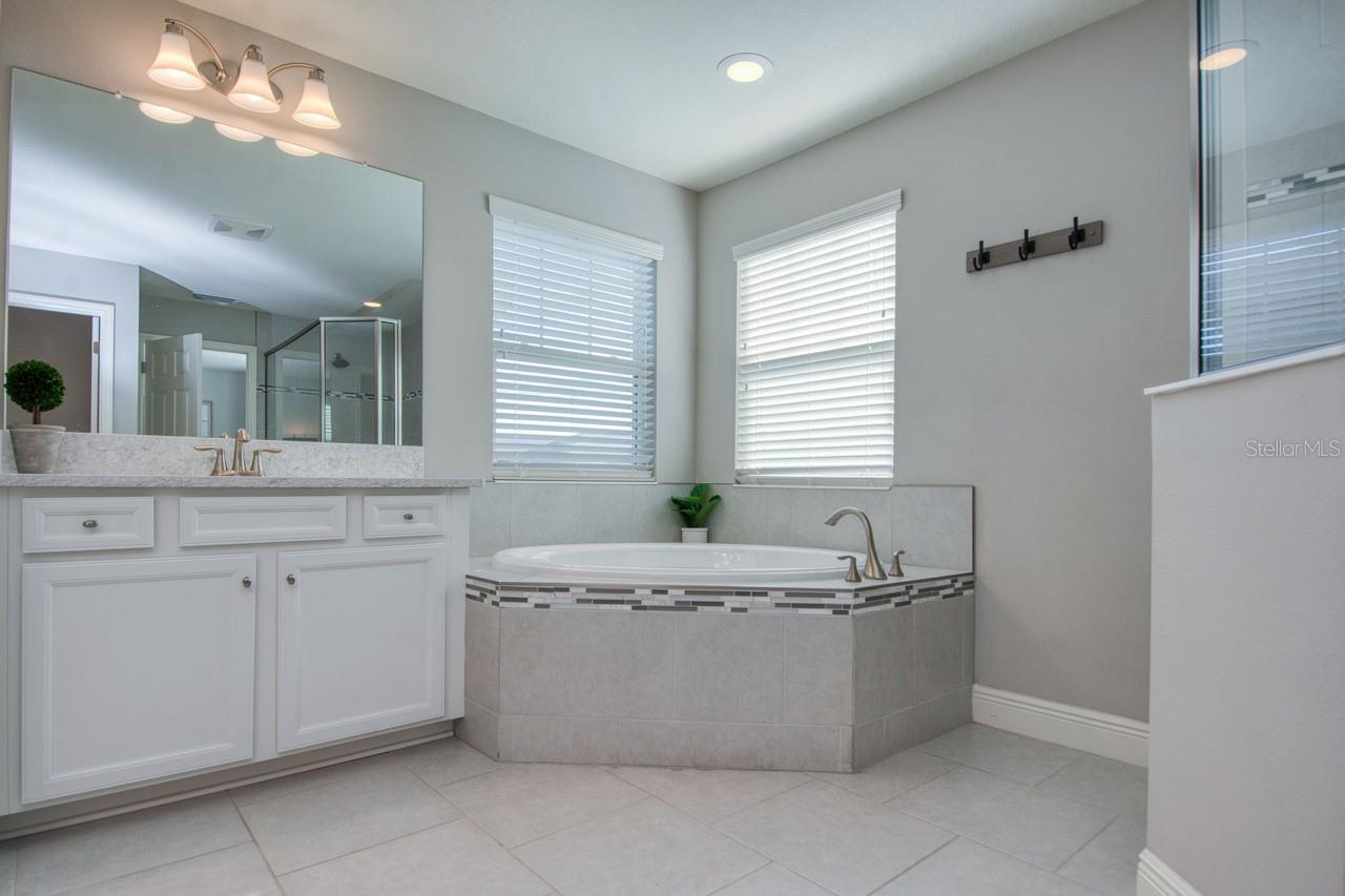 4456 TUBULAR RUN, LAND O LAKES, FL, 34638