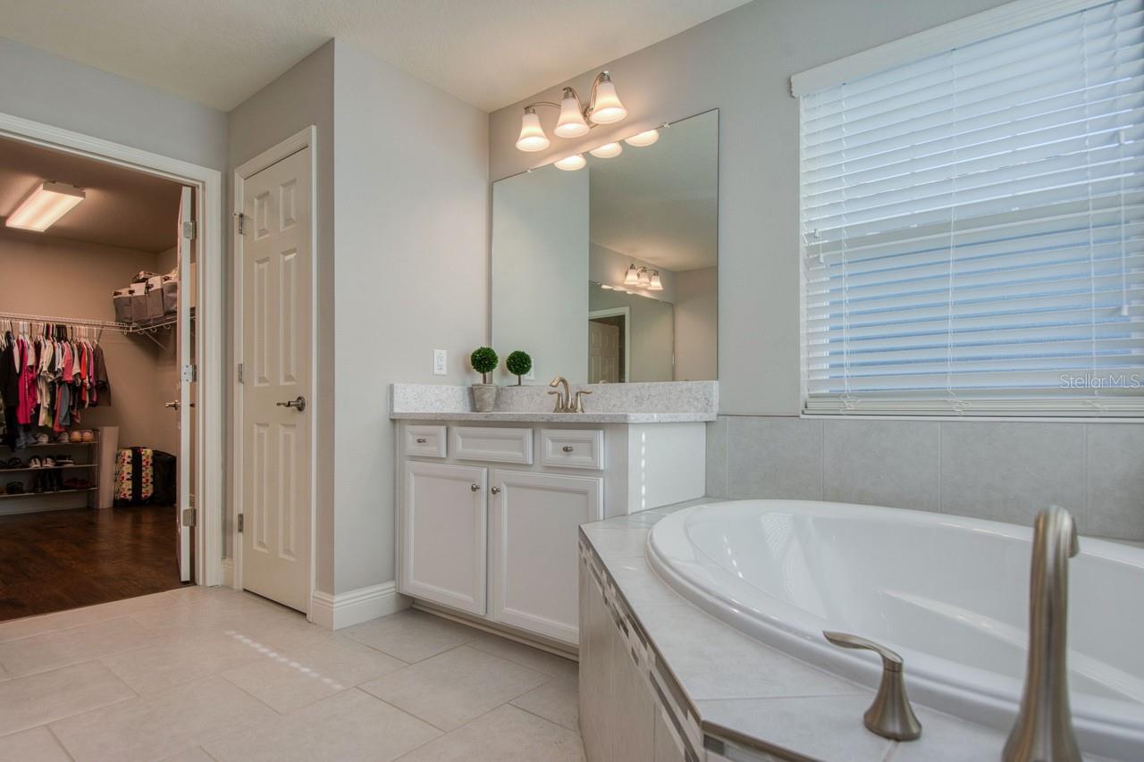4456 TUBULAR RUN, LAND O LAKES, FL, 34638