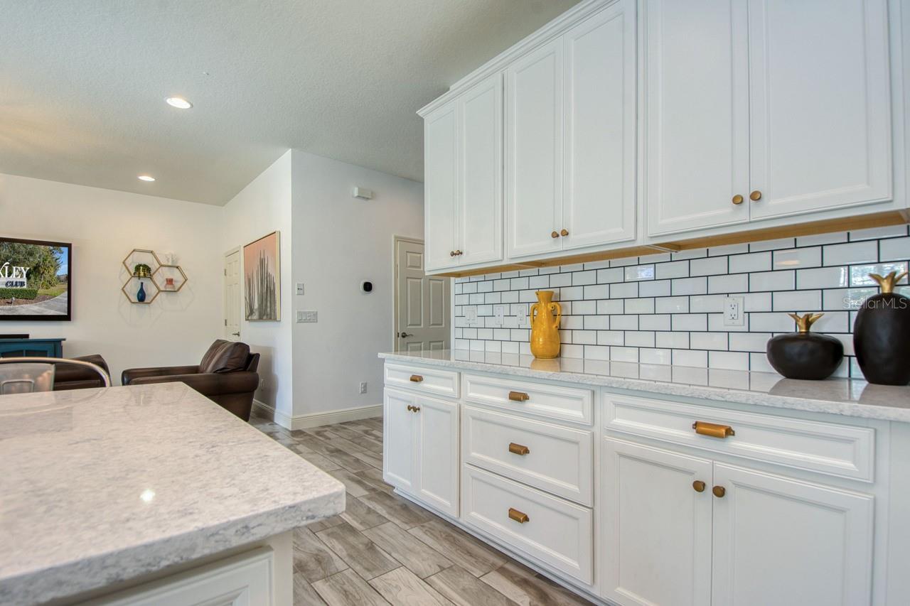 4456 TUBULAR RUN, LAND O LAKES, FL, 34638