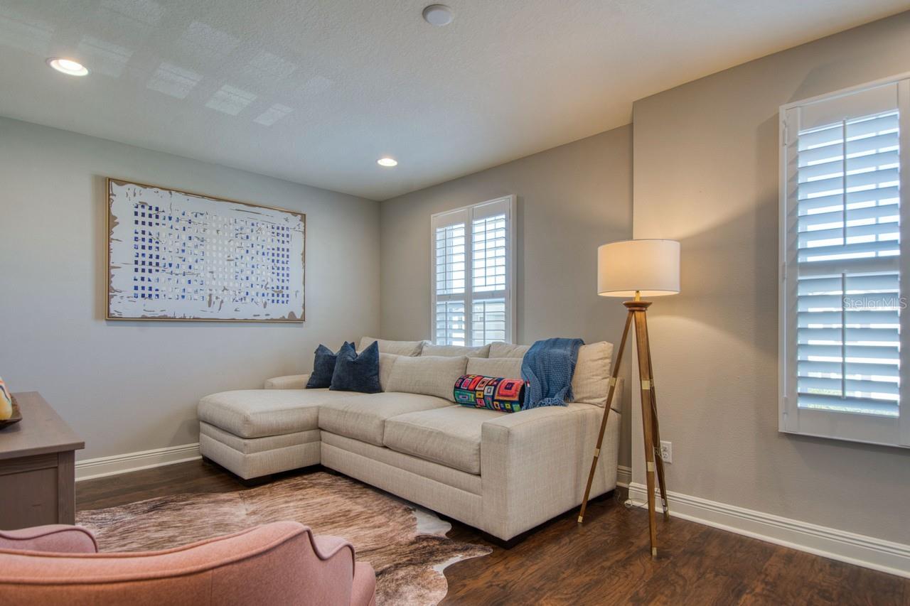 4456 TUBULAR RUN, LAND O LAKES, FL, 34638
