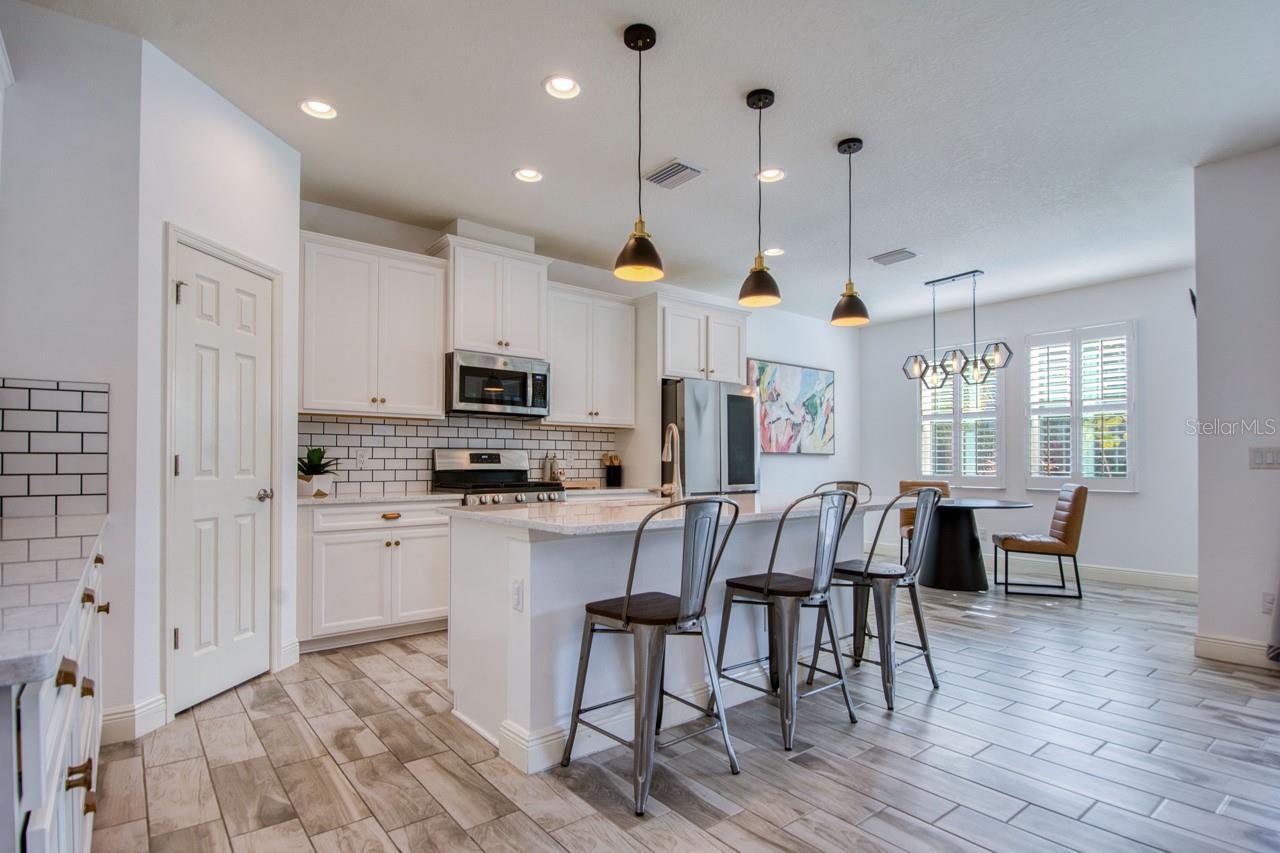 4456 TUBULAR RUN, LAND O LAKES, FL, 34638