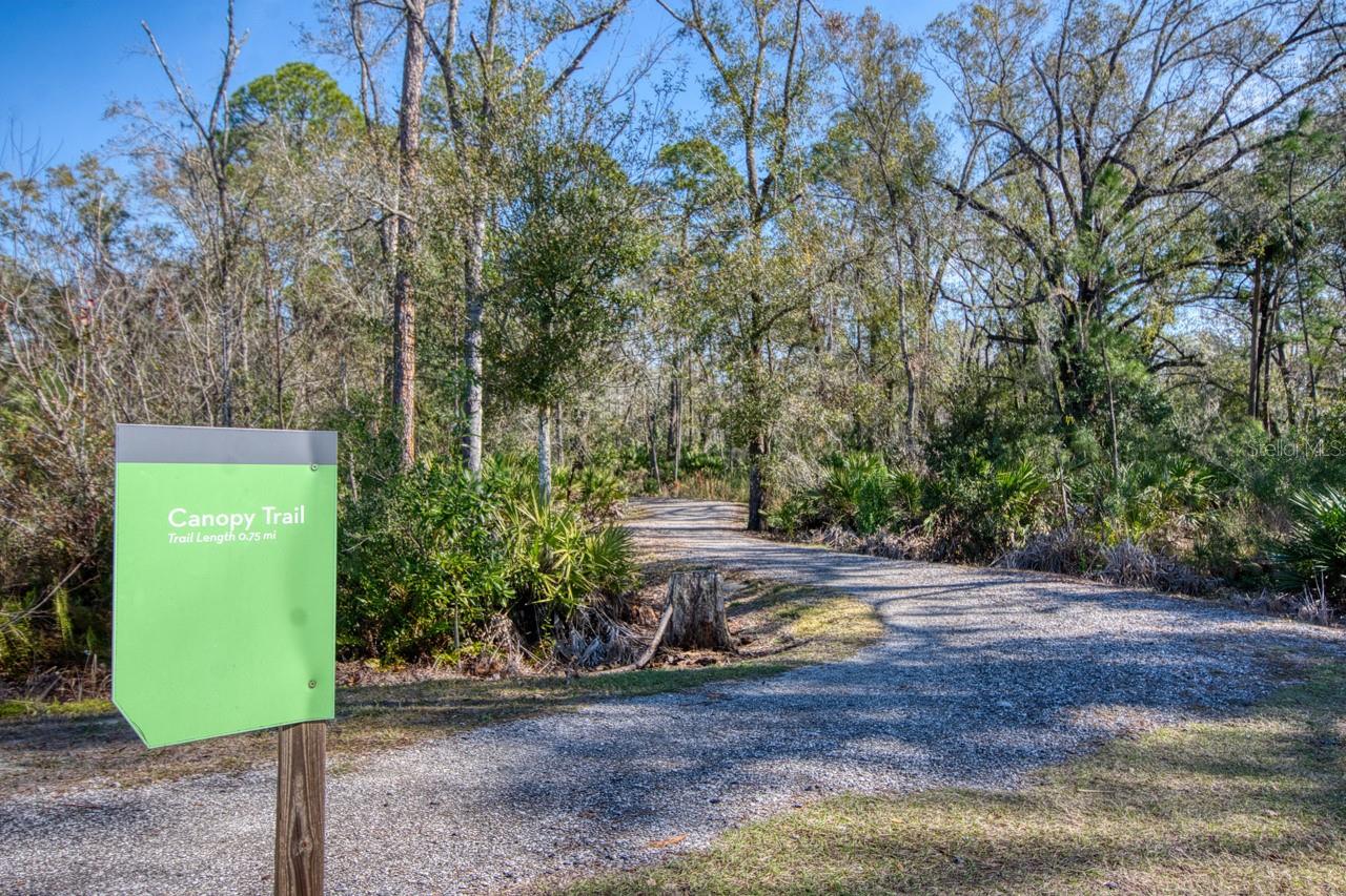 4456 TUBULAR RUN, LAND O LAKES, FL, 34638