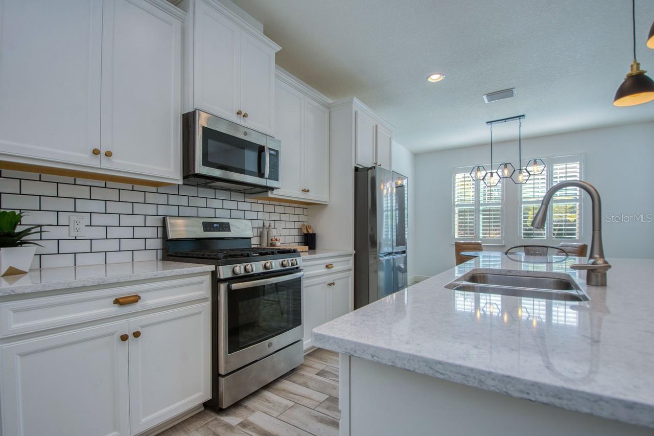 4456 TUBULAR RUN, LAND O LAKES, FL, 34638