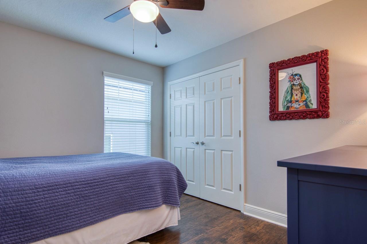 4456 TUBULAR RUN, LAND O LAKES, FL, 34638