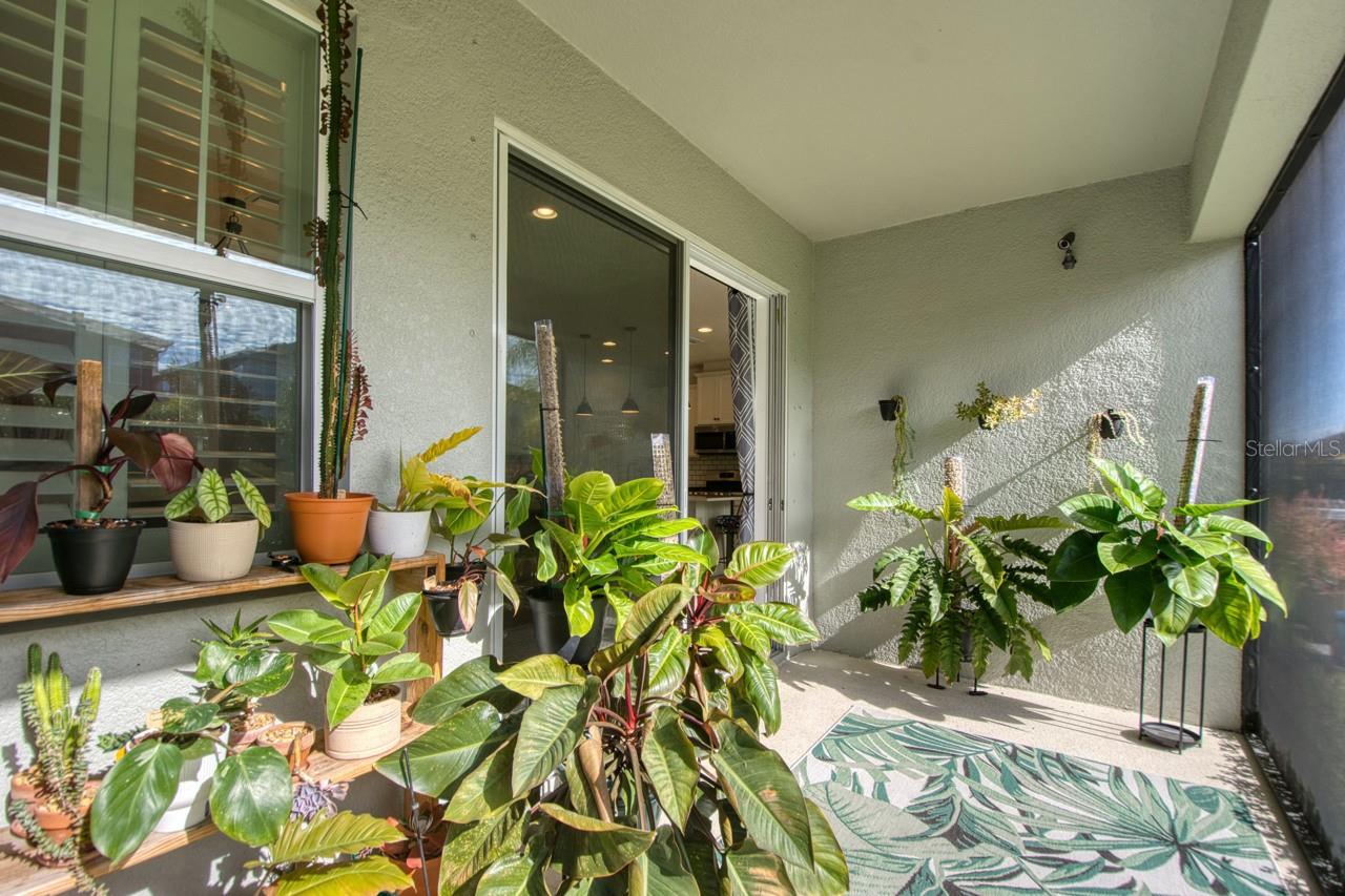 4456 TUBULAR RUN, LAND O LAKES, FL, 34638
