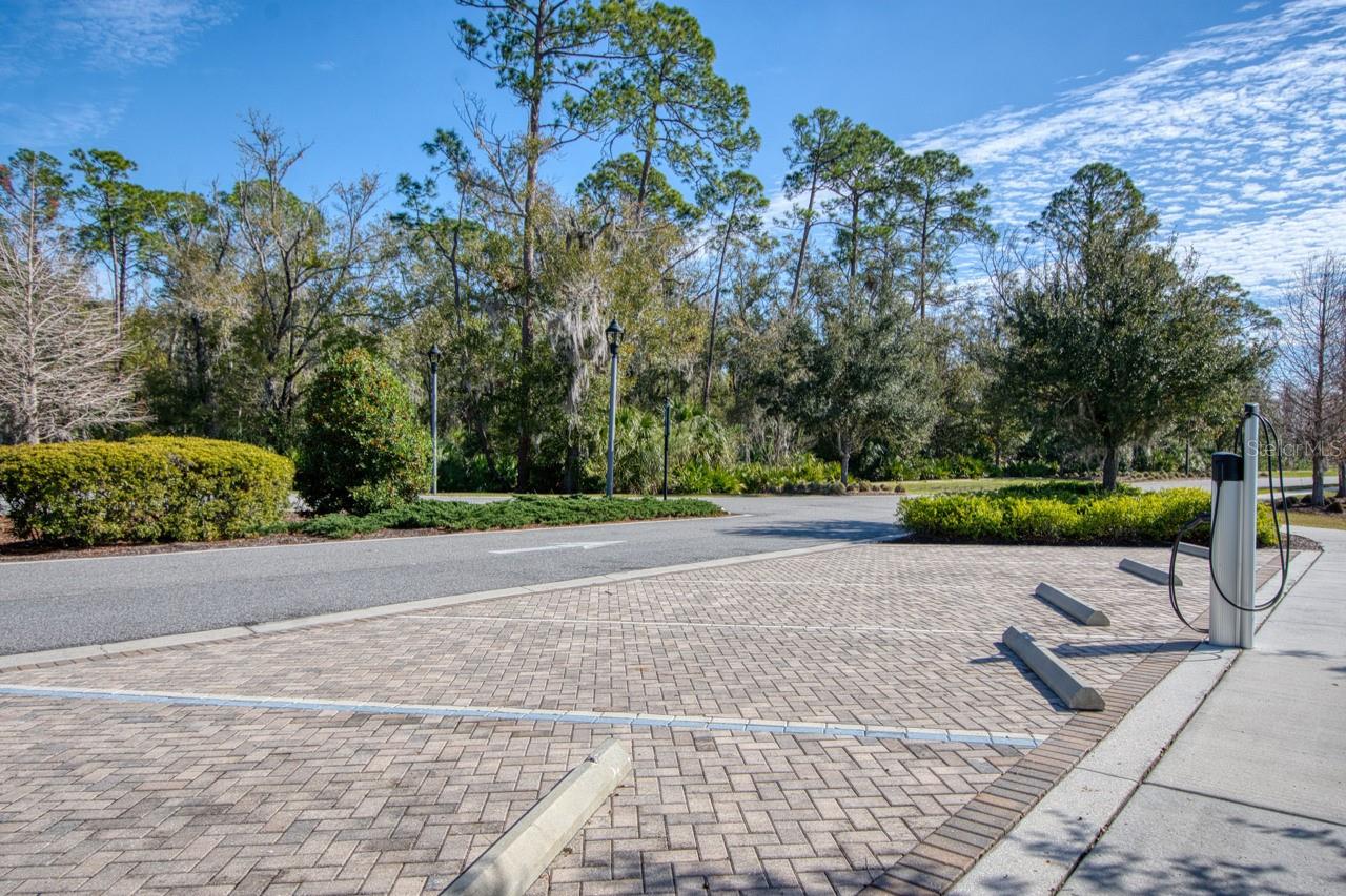 4456 TUBULAR RUN, LAND O LAKES, FL, 34638