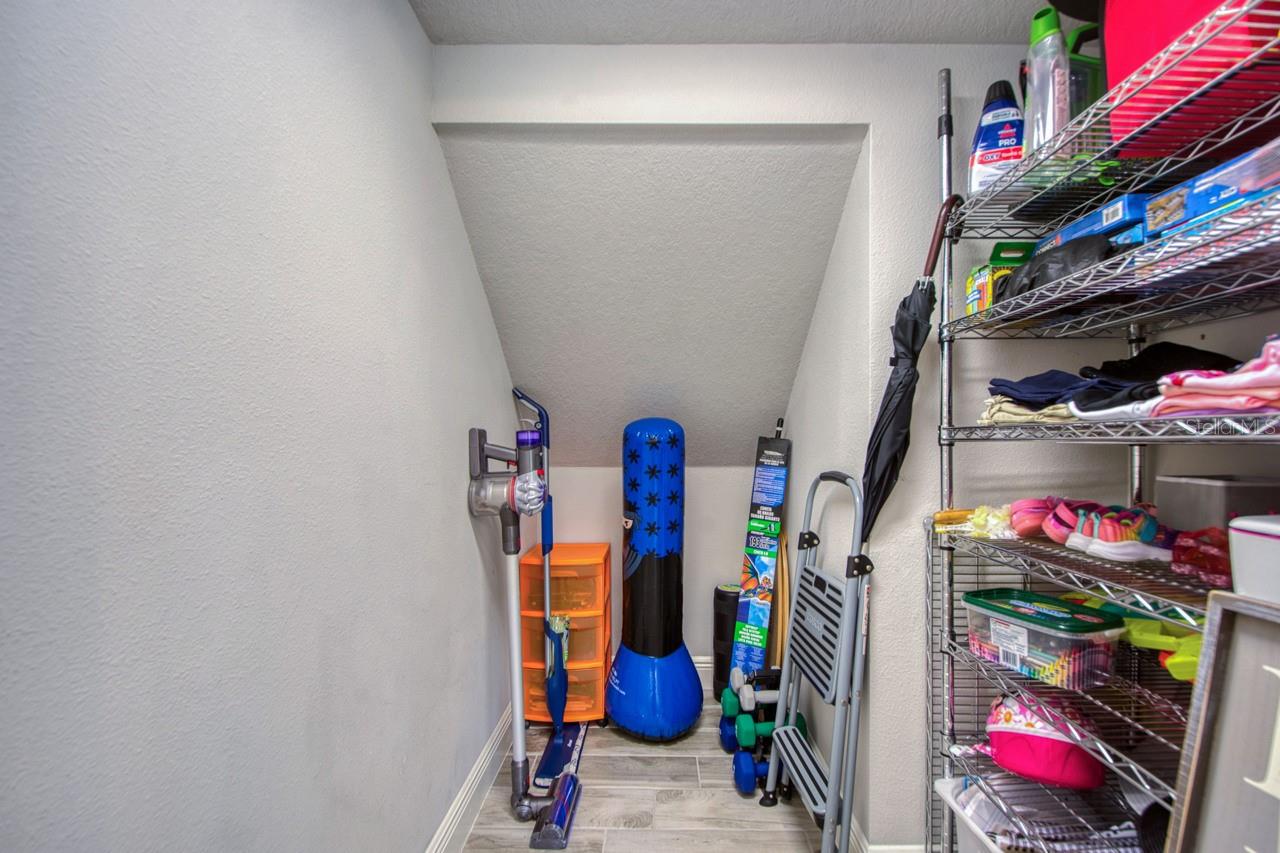 4456 TUBULAR RUN, LAND O LAKES, FL, 34638