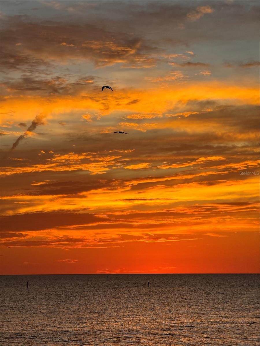 450 S GULFVIEW BLVD #408, CLEARWATER BEACH, FL, 33767