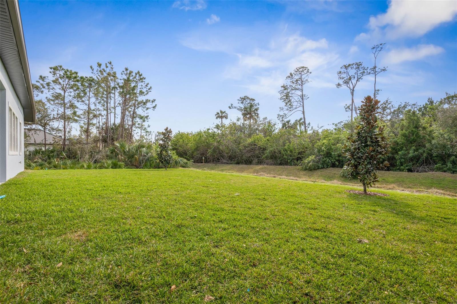 248 S RIVERWALK DR, PALM COAST, FL, 32137