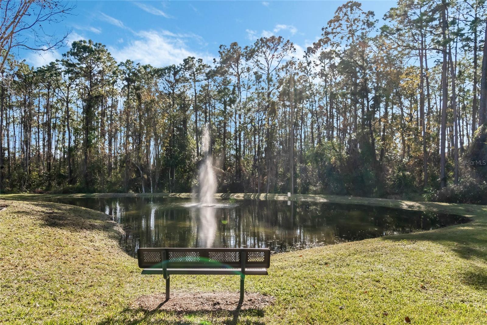 12602 CREST SPRINGS LN #1314, ORLANDO, FL, 32828