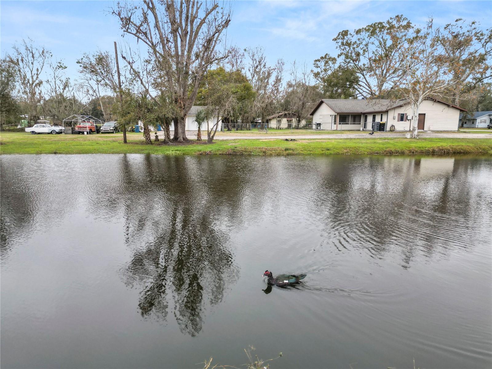 4312 GLENVIEW DR, LAKELAND, FL, 33810