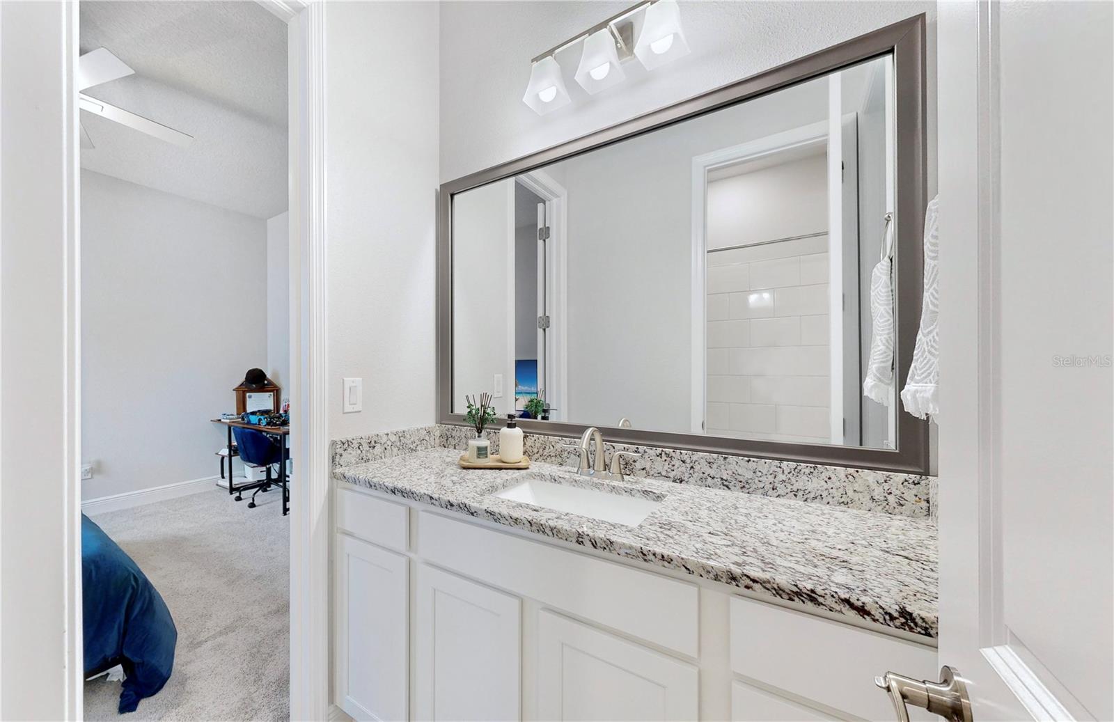 7532 ASHBROOKE PINE LOOP, ODESSA, FL, 33556