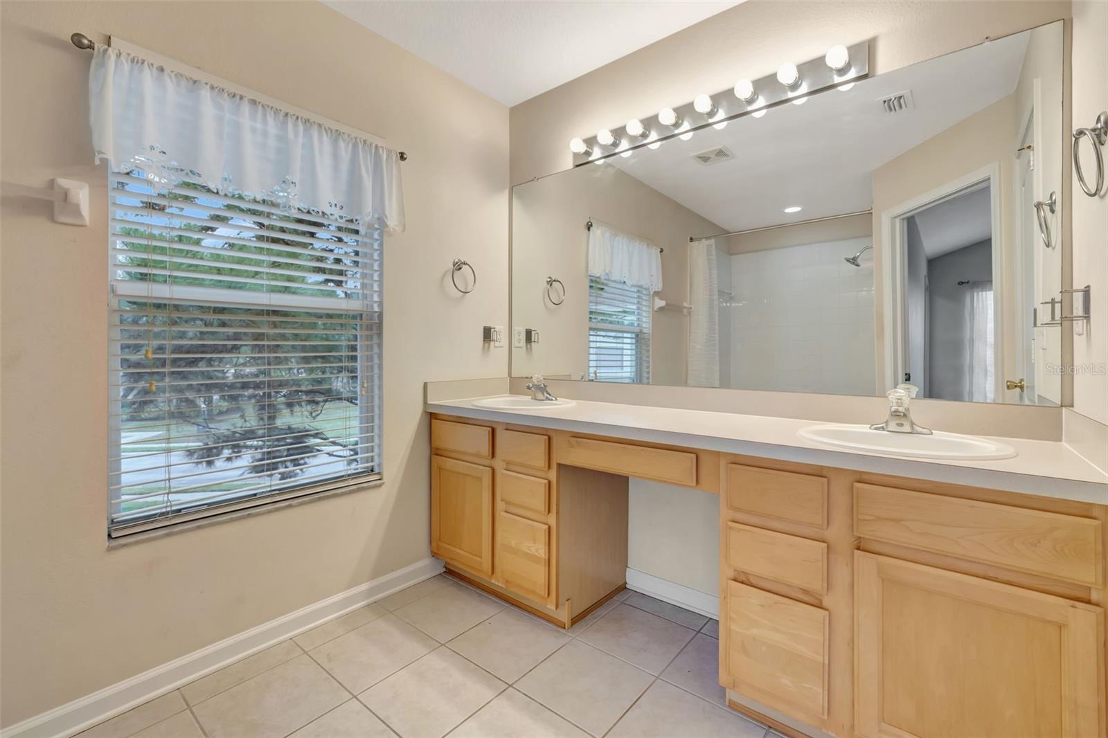 1006 VISTA CAY CT, BRANDON, FL, 33511