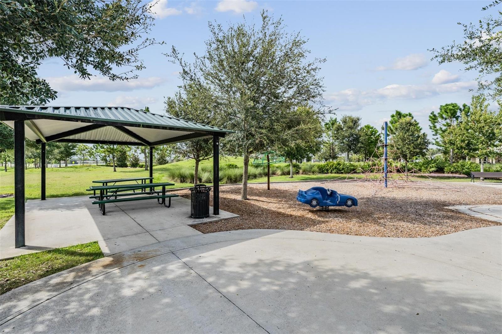 12292 LYON PINE LN, ODESSA, FL, 33556