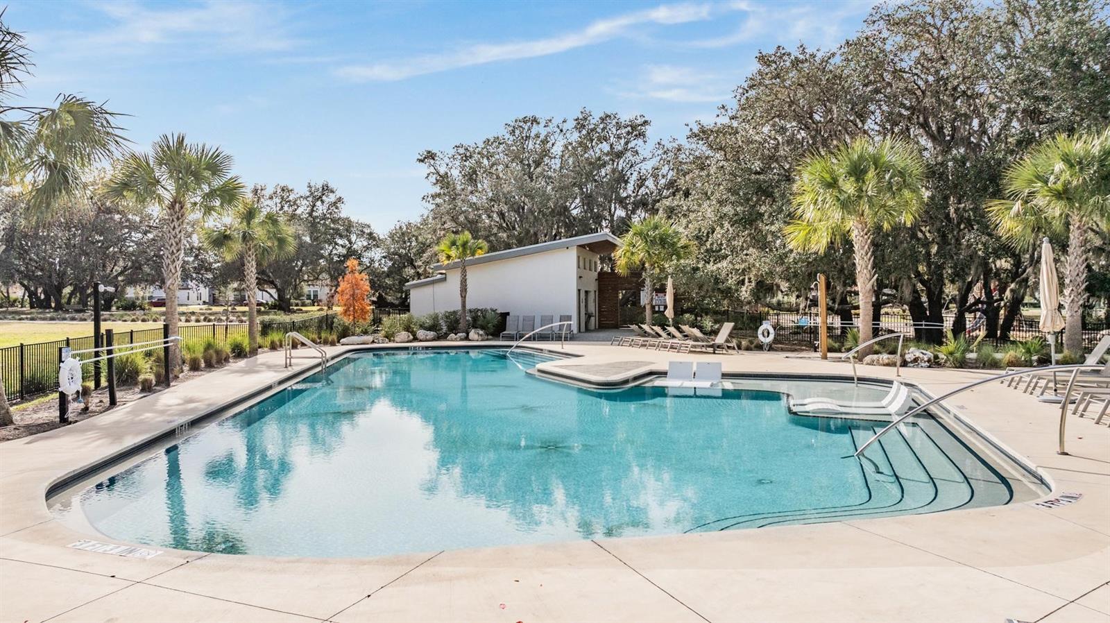 12292 LYON PINE LN, ODESSA, FL, 33556
