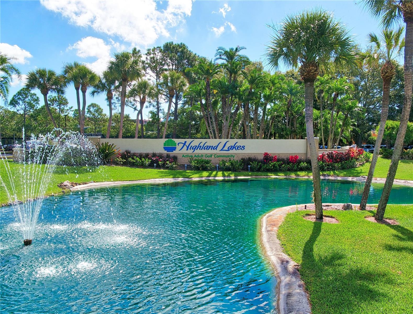 3584 OAK LAKE DR, PALM HARBOR, FL, 34684
