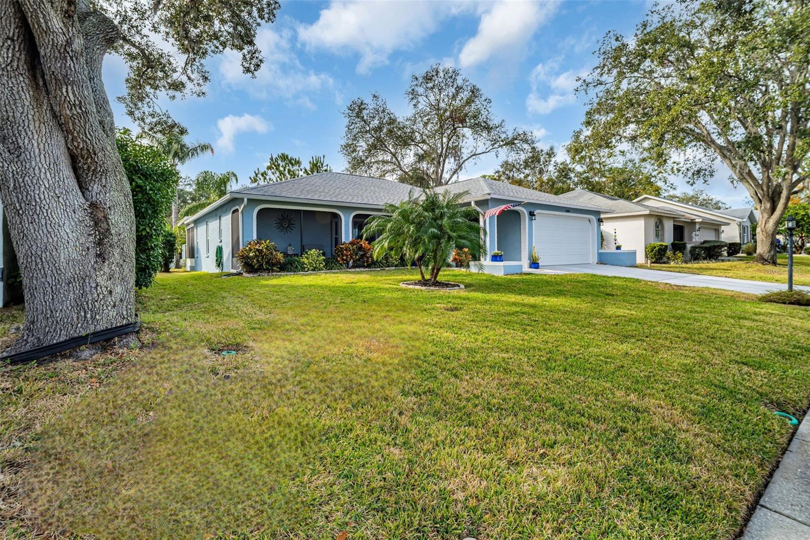 3584 OAK LAKE DR, PALM HARBOR, FL, 34684