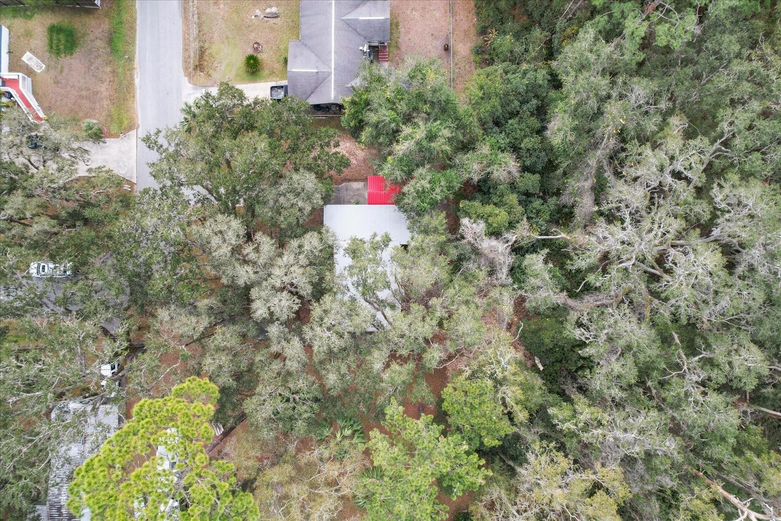 11730 SW 230TH AVENUE RD, DUNNELLON, FL, 34431