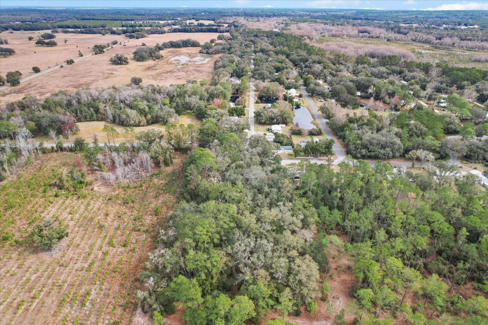 11730 SW 230TH AVENUE RD, DUNNELLON, FL, 34431