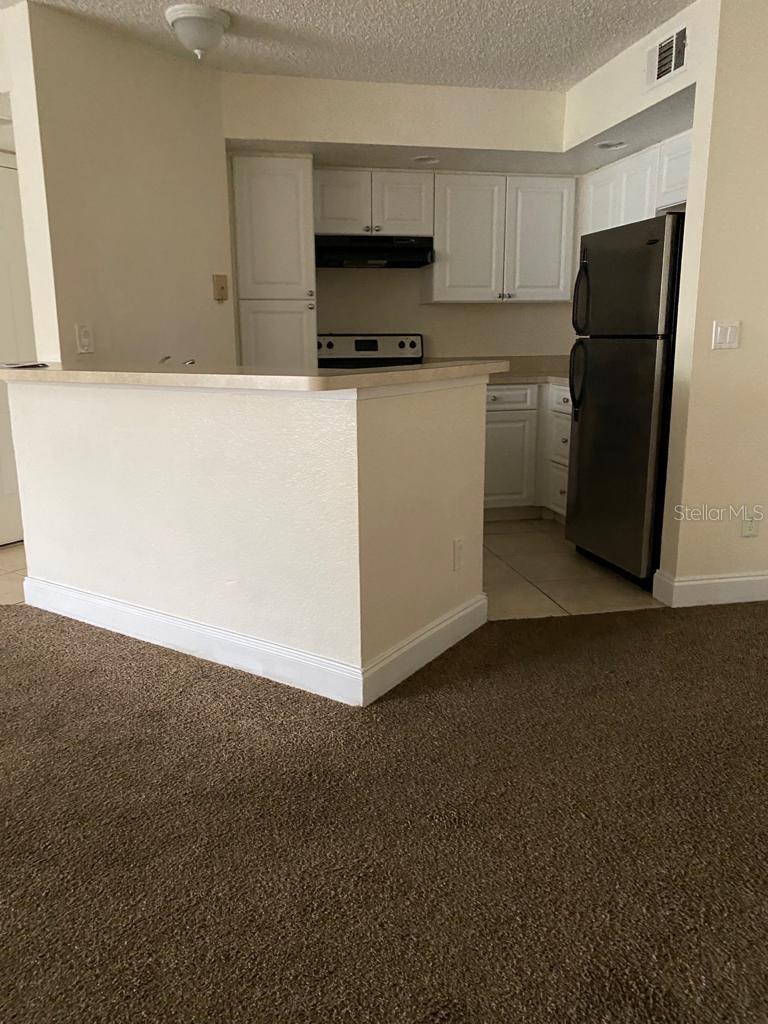 5725 GATLIN AVE #313, ORLANDO, FL, 32822