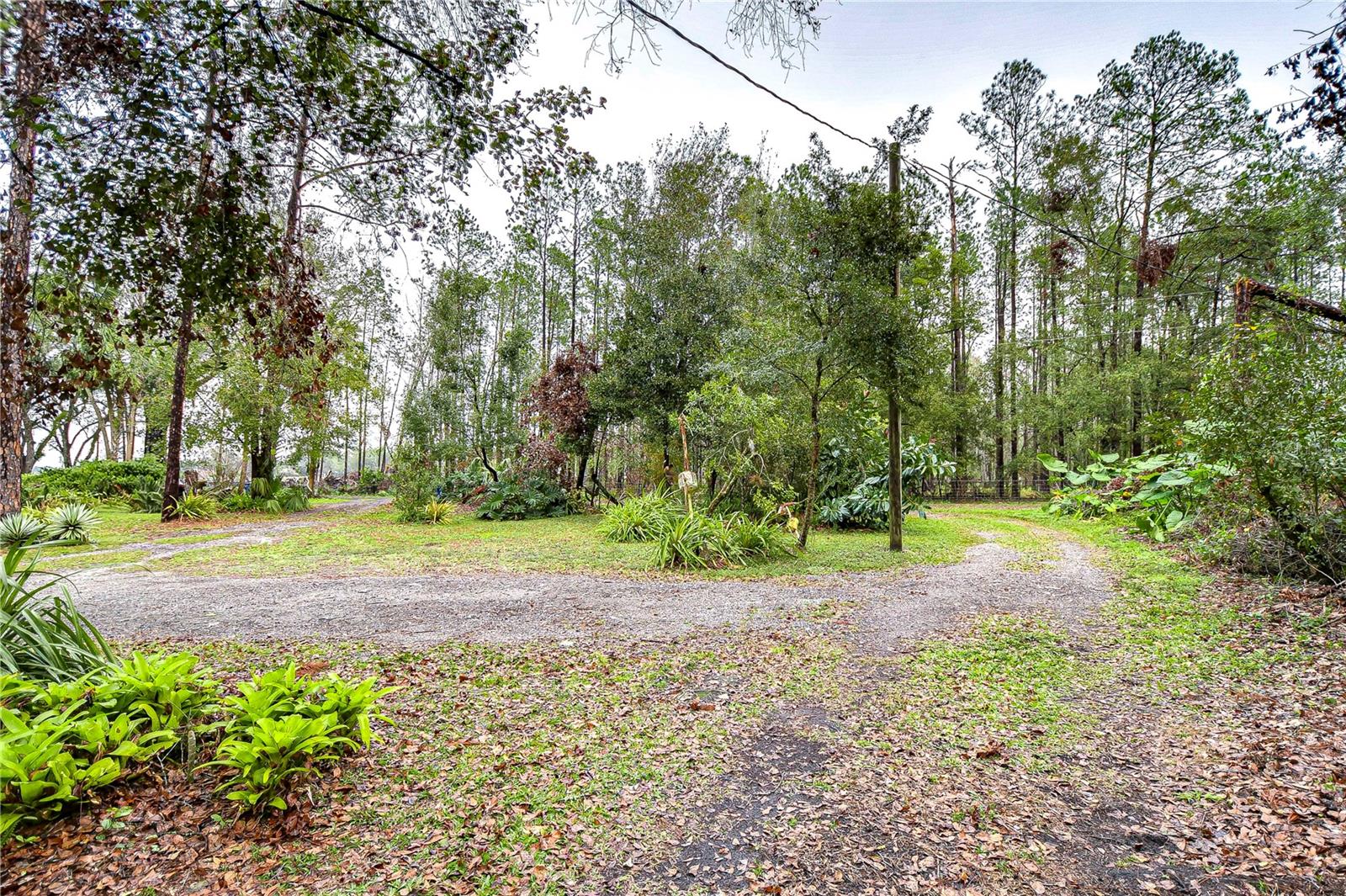 2211 O'KEEFE PL, ZEPHYRHILLS, FL, 33540