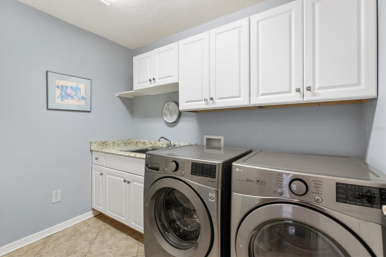 2954 SILK TREE TER, THE VILLAGES, FL, 32163