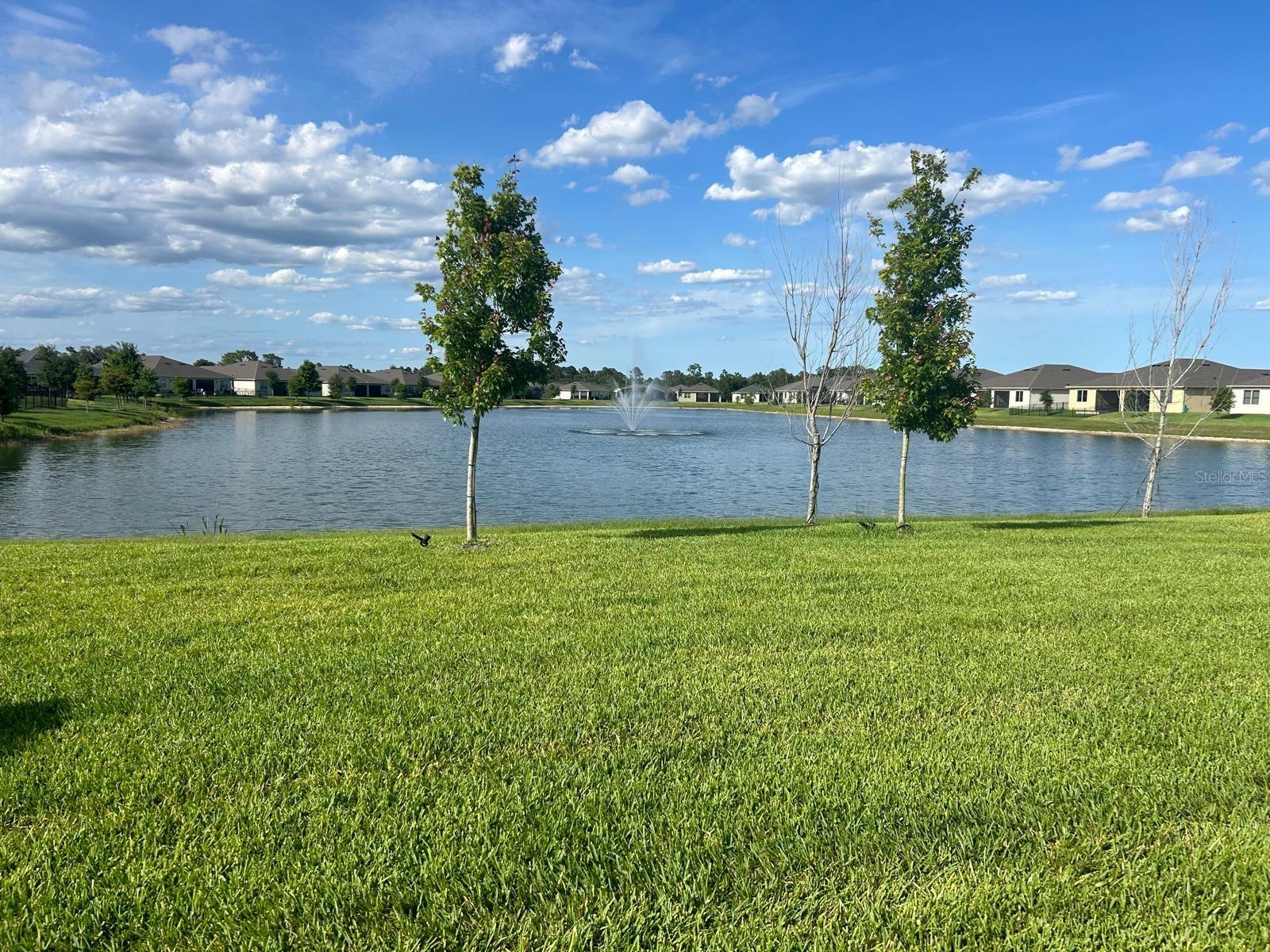 17795 BLAZING STAR CIR, CLERMONT, FL, 34714