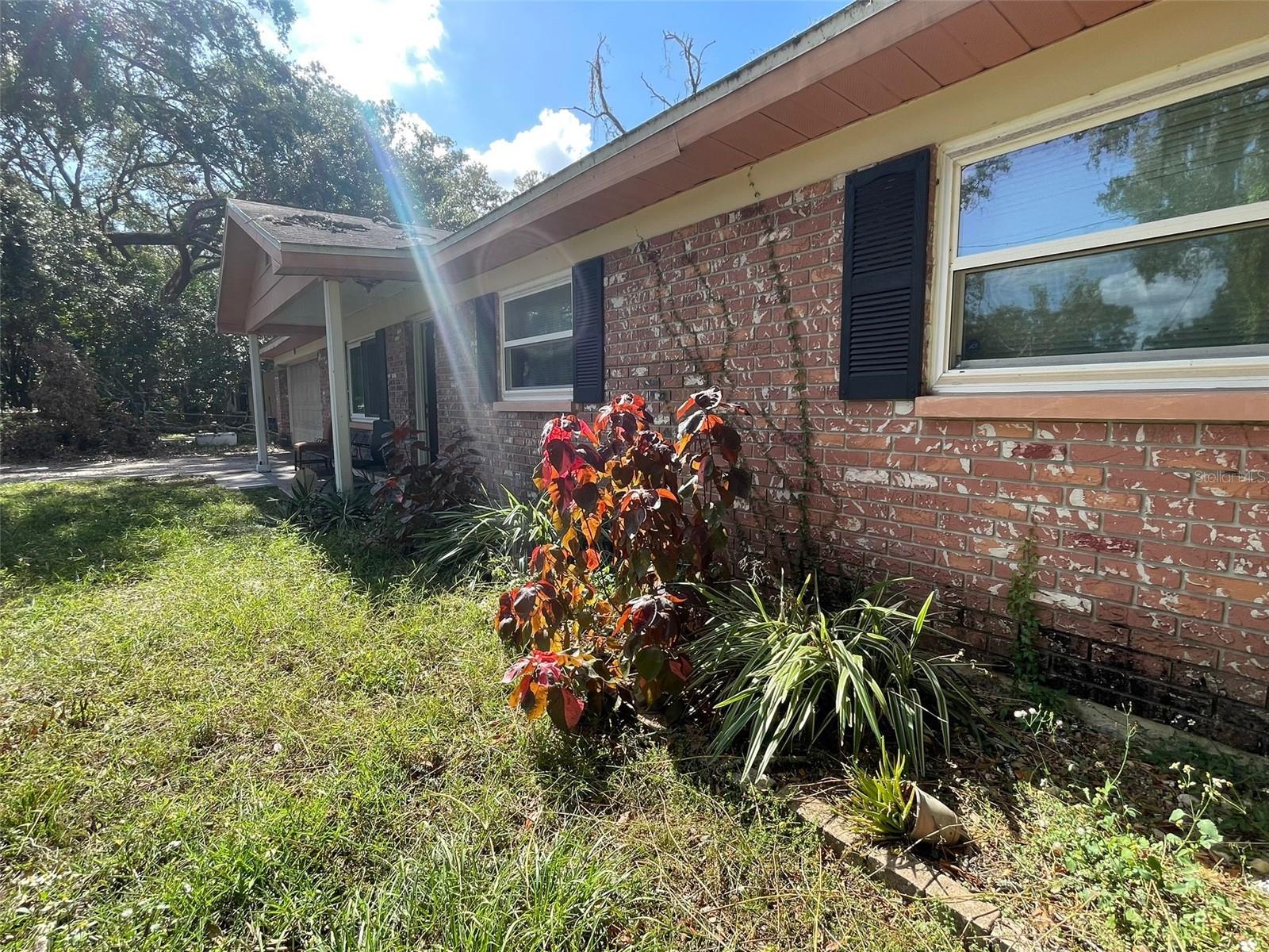 14810 N 30TH ST, LUTZ, FL, 33559