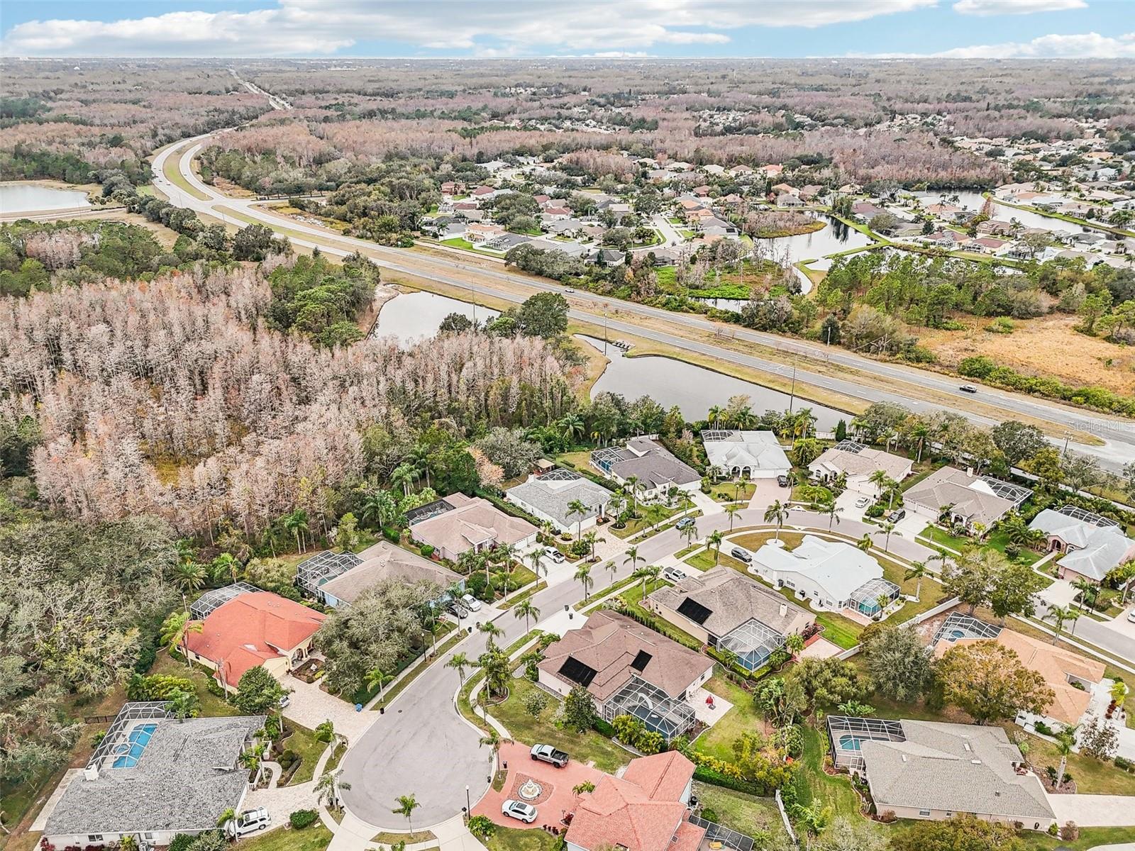 8831 BEL MEADOW WAY, TRINITY, FL, 34655