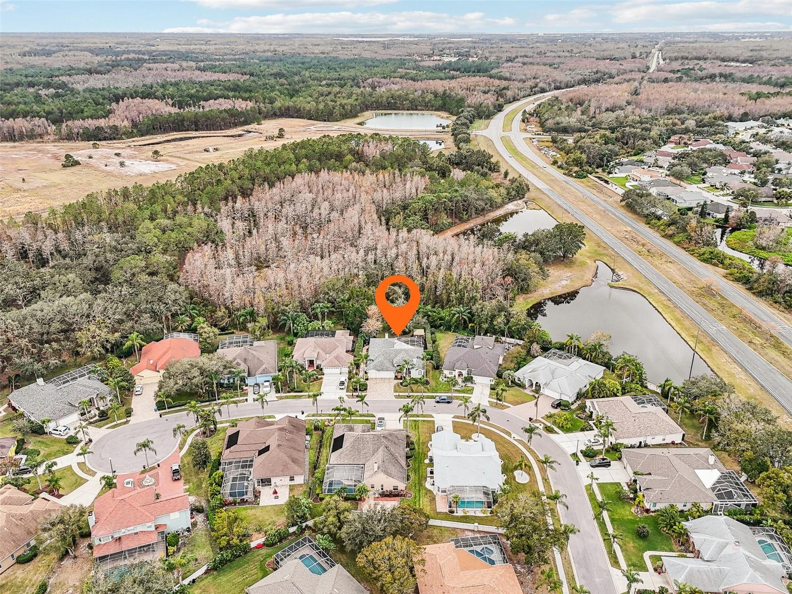 8831 BEL MEADOW WAY, TRINITY, FL, 34655