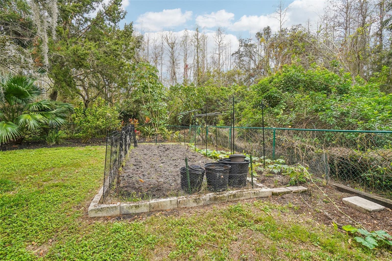 8831 BEL MEADOW WAY, TRINITY, FL, 34655
