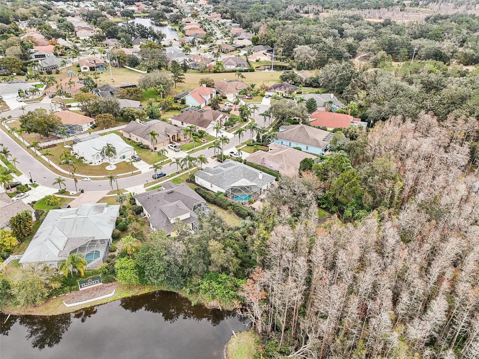 8831 BEL MEADOW WAY, TRINITY, FL, 34655