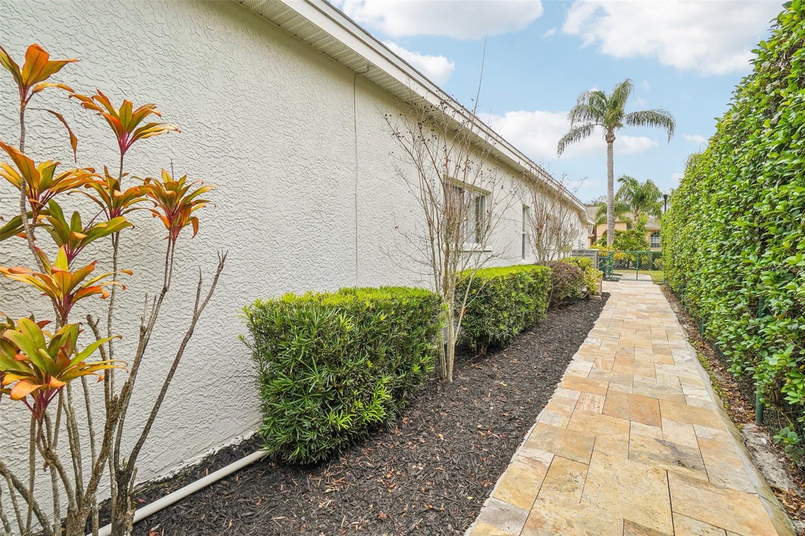 8831 BEL MEADOW WAY, TRINITY, FL, 34655