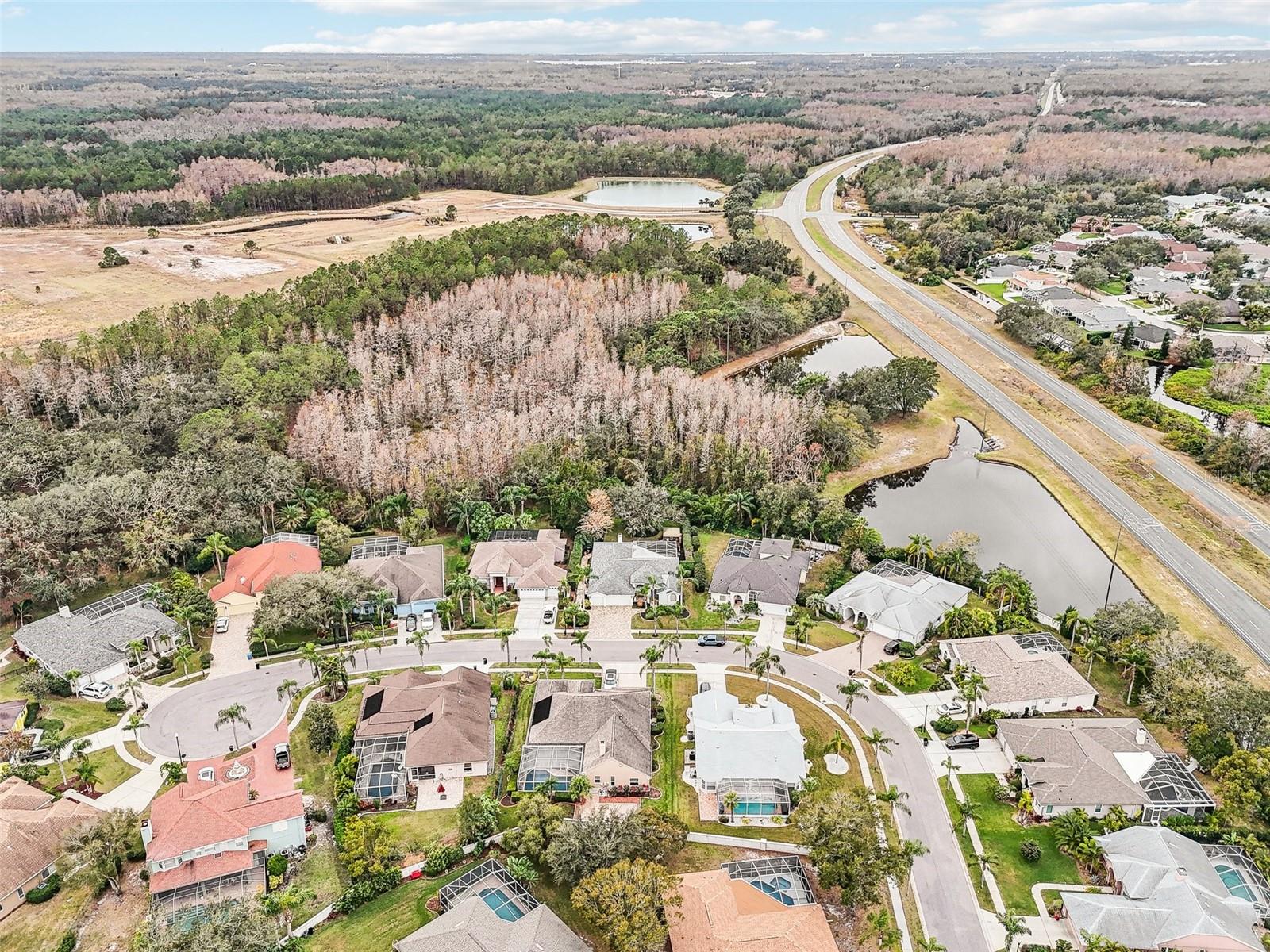 8831 BEL MEADOW WAY, TRINITY, FL, 34655