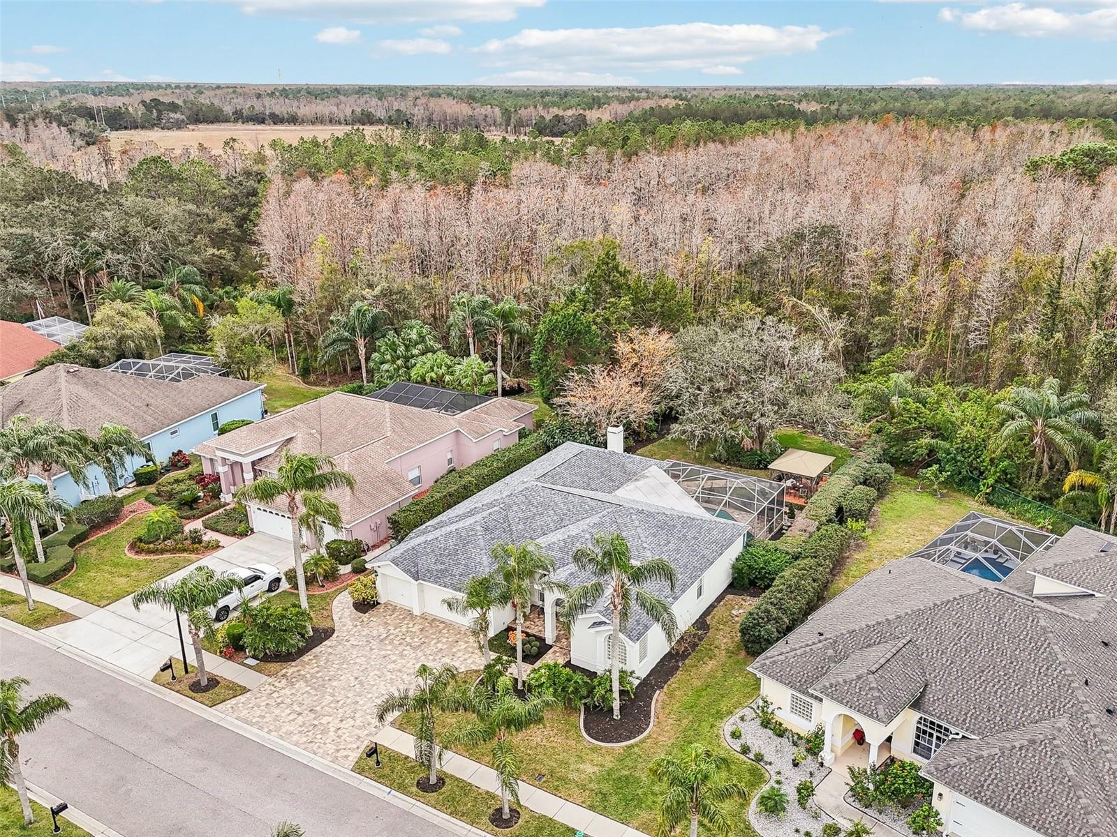 8831 BEL MEADOW WAY, TRINITY, FL, 34655