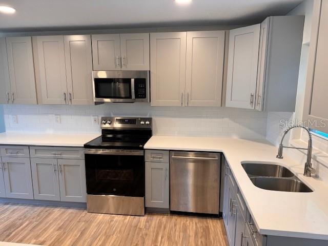 605 ALDAMA CT, OCOEE, FL, 34761